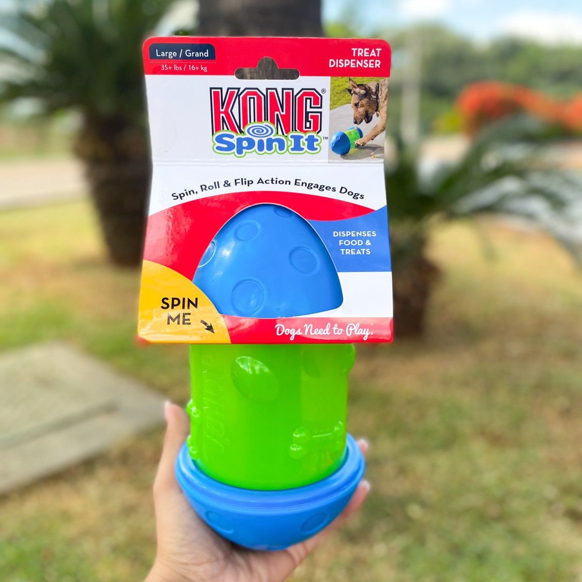 kong spin it